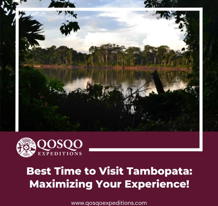 Best Time to Visit Tambopata: Maximizing Your Experience