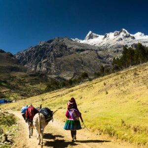An Andean woman in traditional clothing leading pack donkeys on a trail with a view of the majestic snow-capped mountains of Cusco, Peru – Qosqo Expeditions