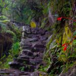 Luxury Inca Trail: Beyond Crowds, Your Ultimate Experience