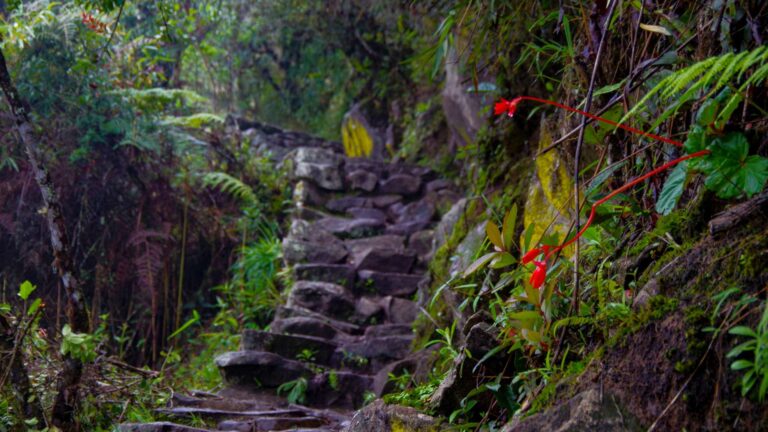 Luxury Inca Trail: Beyond Crowds, Your Ultimate Experience