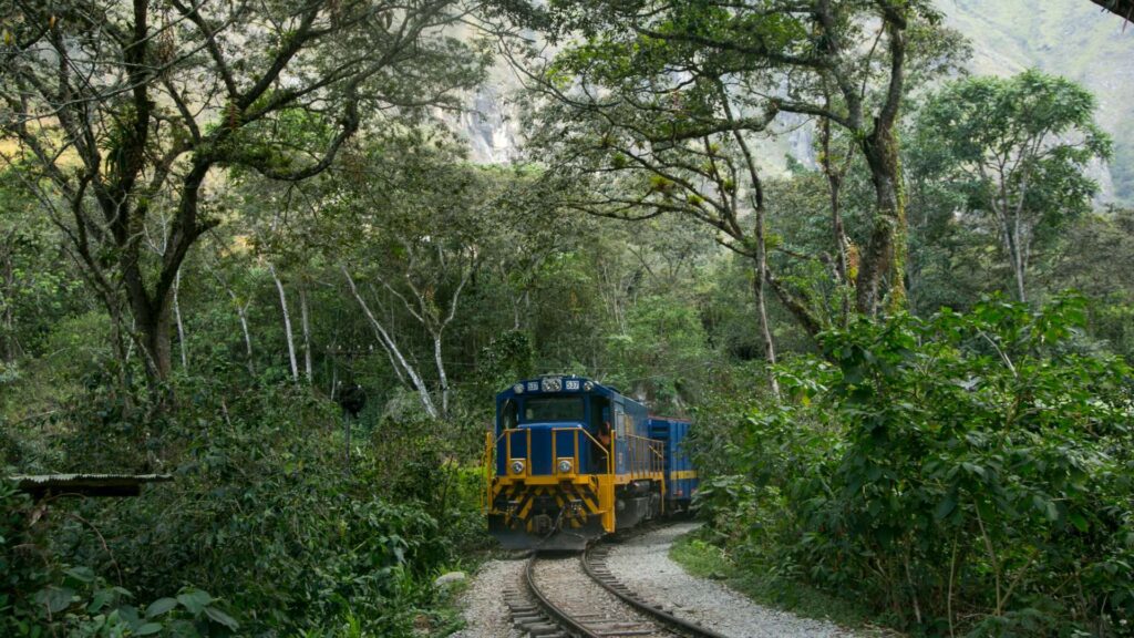 A blue and yellow train traveling on the tracks through the dense, green cloud forest on the scenic journey to Machu Picchu – Qosqo Expeditions