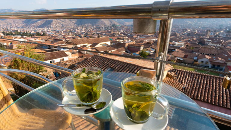 Coca Leaf Tea in Peru: A Natural Boost for Altitude and Culture