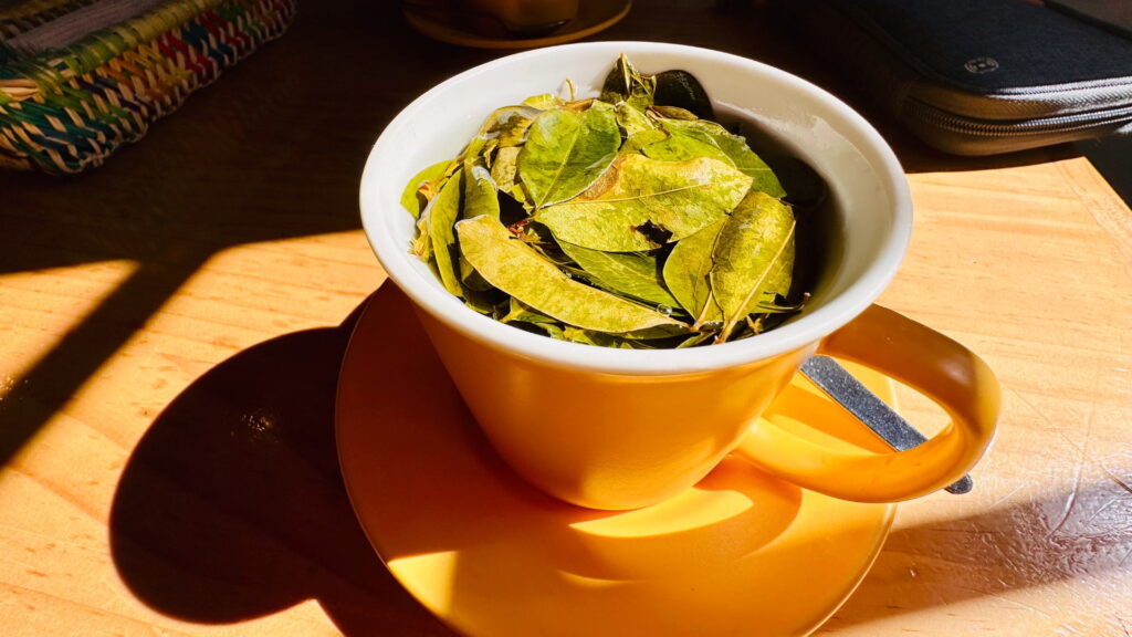 Close-up of a cup of warm Coca Leaf Tea, a traditional drink, often used to help with altitude sickness during tours in the Andes. - Qosqo Expeditions