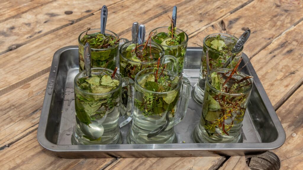 A set of glass mugs filled with fresh, steaming Muña tea, an Andean herbal infusion recognized among local Medicinal Plants for its beneficial properties. - Qosqo Expeditions
