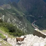 Inca Trail Trek: The Ultimate Journey for Discerning Adventurers