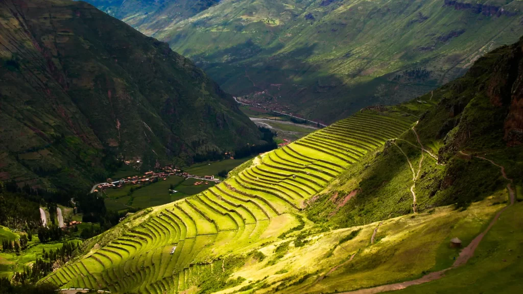 Sunlit agricultural terraces carved into a steep Andean mountainside—an iconic landscape encountered during Cusco trekking adventures.-Qosqo Expeditions