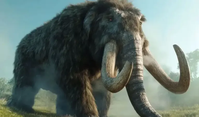 Details of the Peru Mastodon Fossil Discovery
