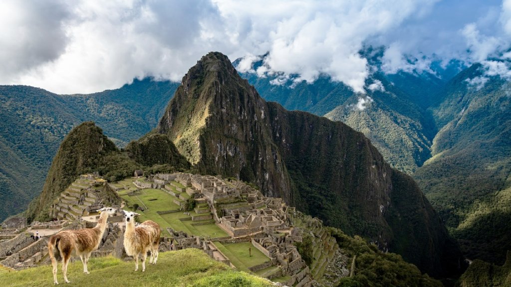 Two llamas grazing in front of the Machu Picchu citadel and Huayna Picchu Mountain.