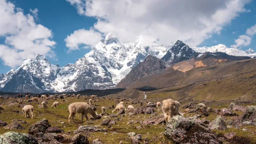 Glacial lakes and snowy mountain ridges along the ausangate high altitude trek in Peru