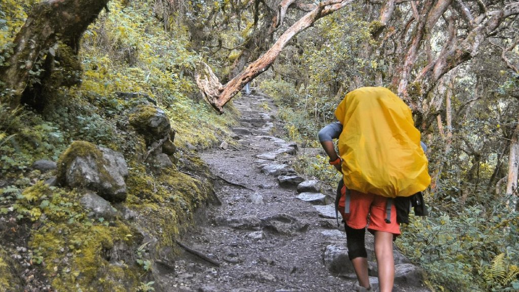 Hiker carrying a backpack with a yellow rain cover on a stone trail along the Inca Trail.