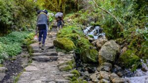 Porters and hikers walking along a stone trail beside a small stream on the Inca Trail.